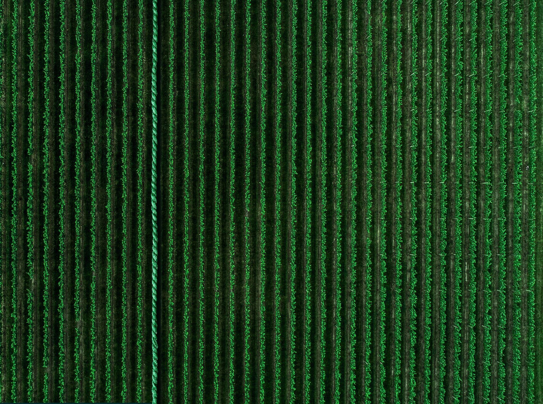 Sustainable Carpets Everything You Need to Know